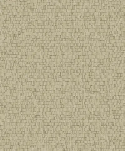 Natural Opalescence by Antonina Vella and York