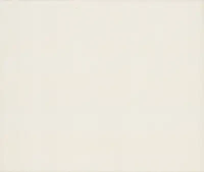 Silk Road Magnolia Wallpaper