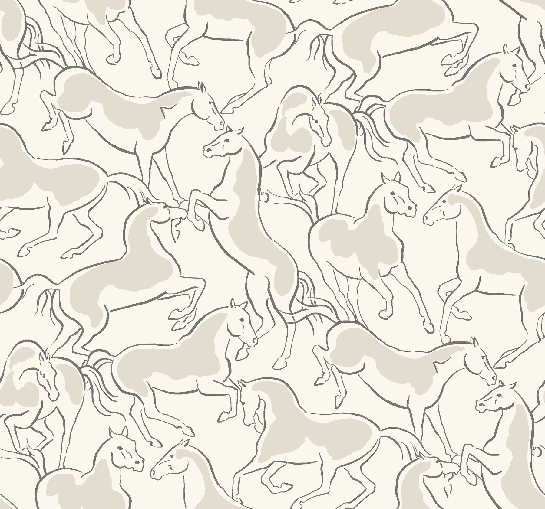 Dressage White Stallions Wallpaper