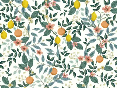 Rifle Paper Co Premium Peel and Stick Wallpaper Second Edition