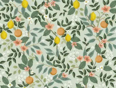 Rifle Paper Co Premium Peel and Stick Wallpaper Second Edition