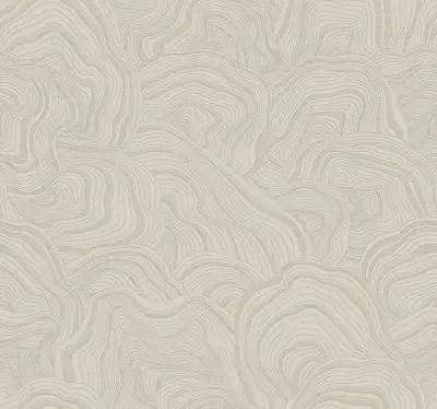 Geodes Taupe Wallpaper