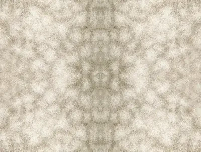 SAS Equestrian Home Premium Peel and Stick by York