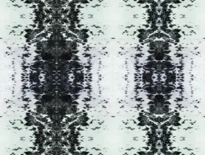 SAS Equestrian Home Premium Peel and Stick by York