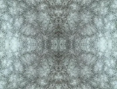 SAS Equestrian Home Premium Peel and Stick by York