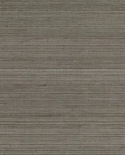 Tropics Resource Library by York