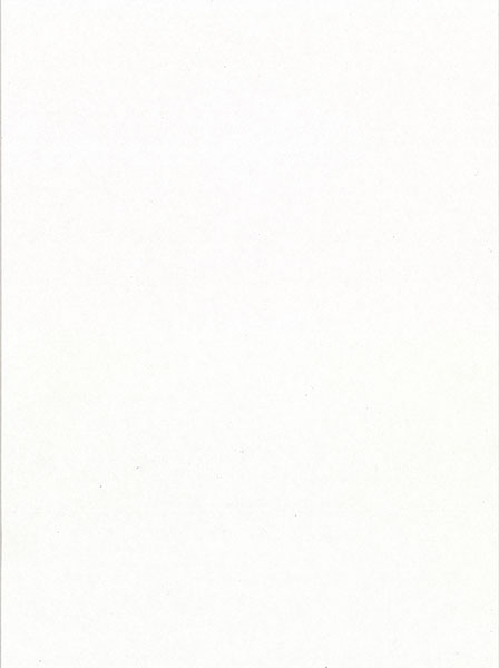 Foster Off-White 20.5" Unpasted Liner